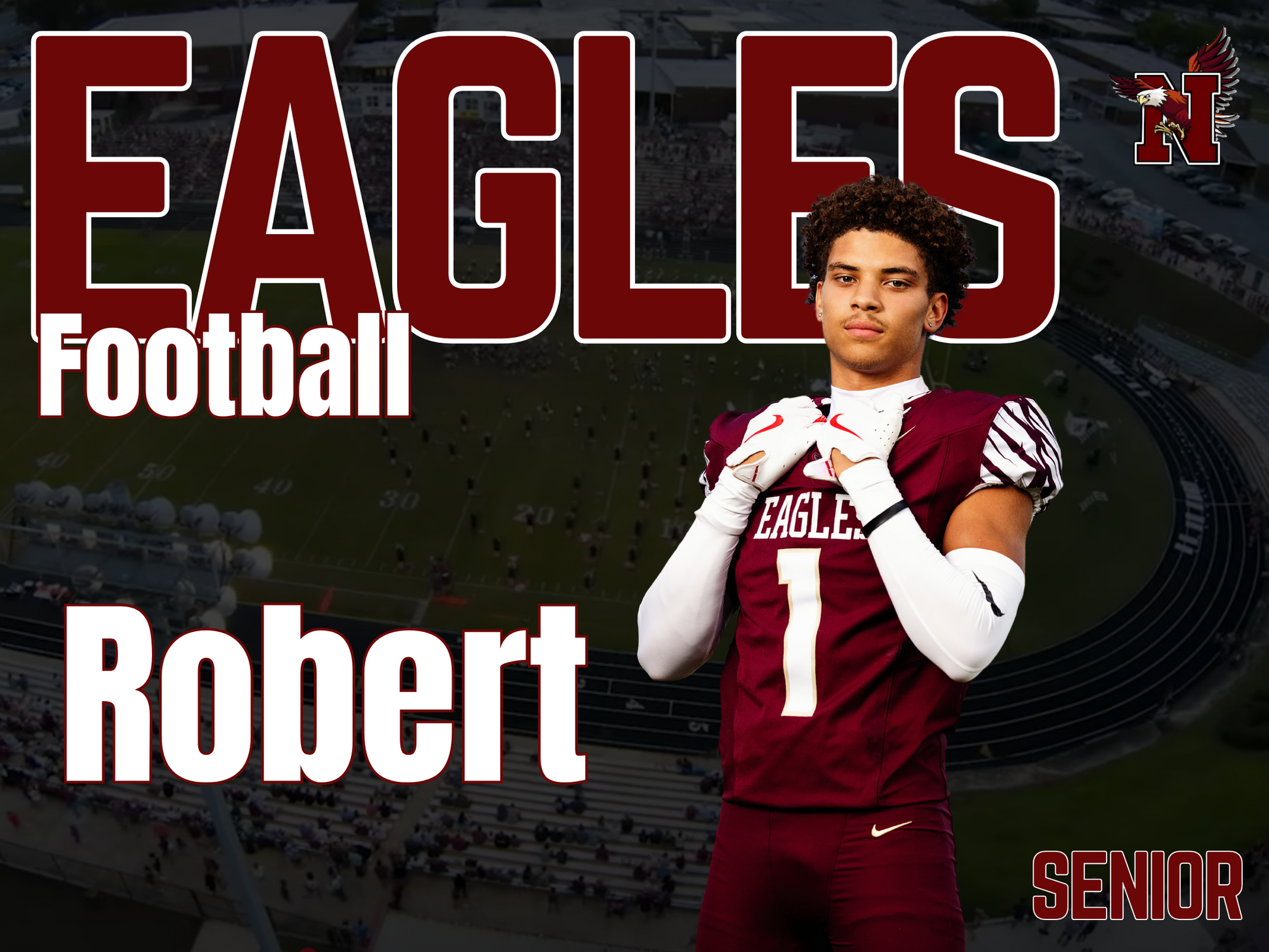 Niceville Football Yard Sign