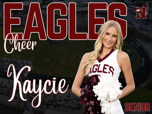 Niceville Cheer Yard Sign