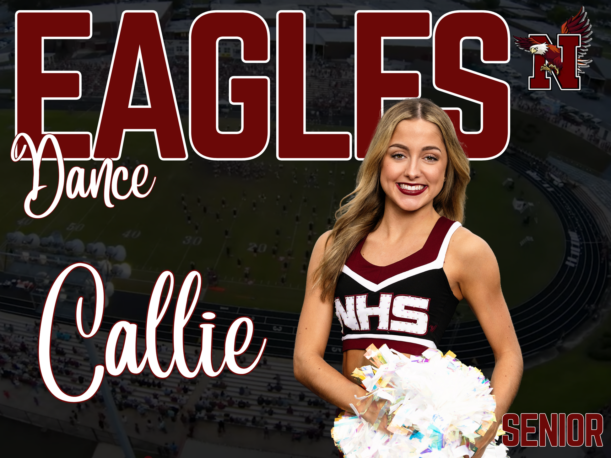 Niceville Dance Yard Sign